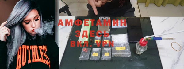 бошки Алексин