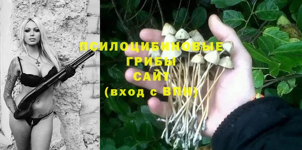 метадон Алексеевка