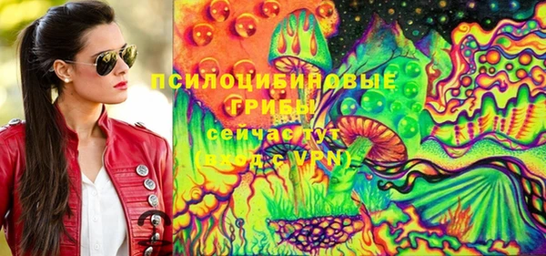 бошки Алексин