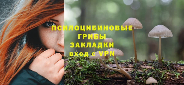 метадон Алексеевка