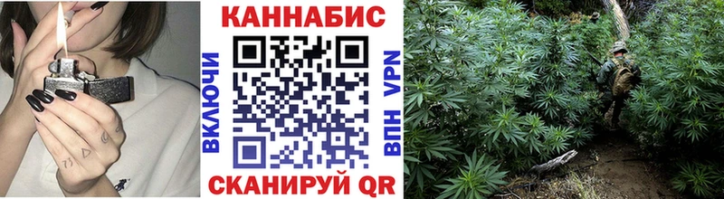 Бошки Шишки ГИДРОПОН  Катав-Ивановск 